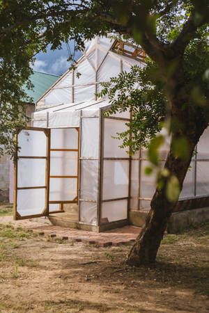 Zambia Farm Wooden Shed Wallpaper