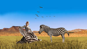 Zebra And A Woman Wallpaper