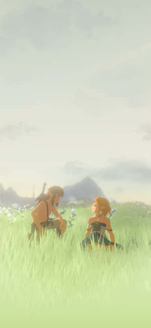 Zeldaand Link Meadow Moment Wallpaper