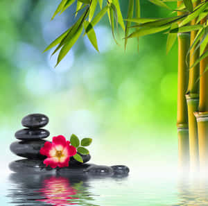 Zen Spa Bambooand Stones Wallpaper