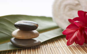 Zen Spa Wellness Concept Wallpaper