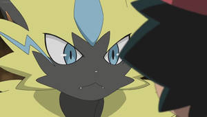 Zeraora Looking At Ash Wallpaper