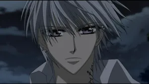 Zero Kiryu, The Intense Vampire Hunter Wallpaper