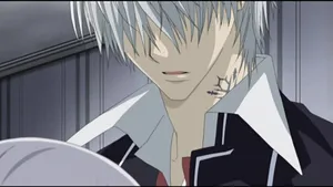 Zero Kiryu - The Vampire Hunter Wallpaper