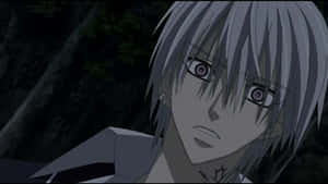 Zero Kiryu Vampire Knight Intense Gaze Wallpaper