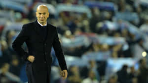 Zinedine Zidane Football Manager Reaction Photography Wallpaper