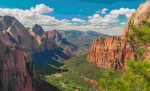 Zion National Park Overlook Wallpaper