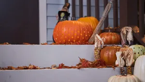 Zoom Party Pumpkin Carving Wallpaper