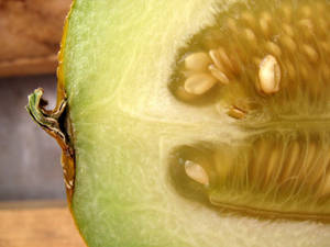 Zoomed In Honeydew Melon Wallpaper