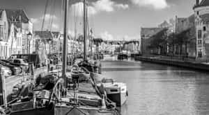 Zwolle Canal Blackand White Wallpaper